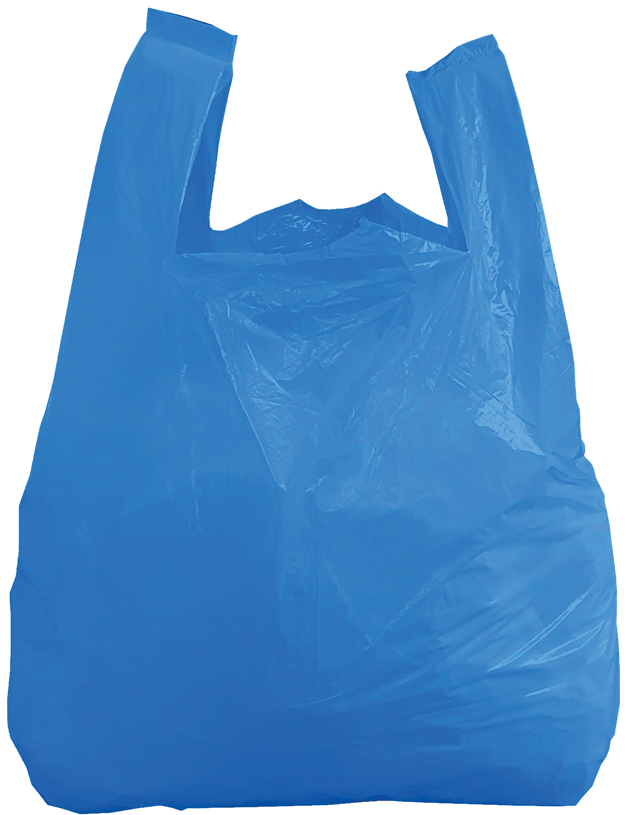 Plastic <br> Polythene Bag